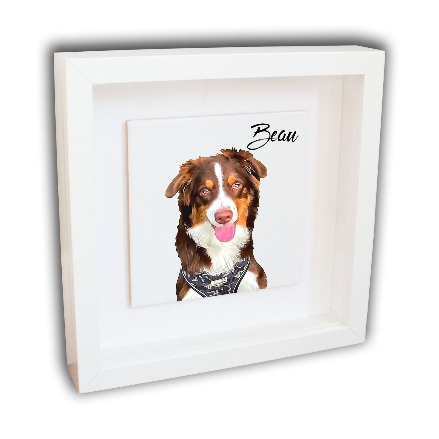 Personalised Pet Dog Cat Brush Portrait Custom Photo Print on Ceramic Tile in Box Frame Gift