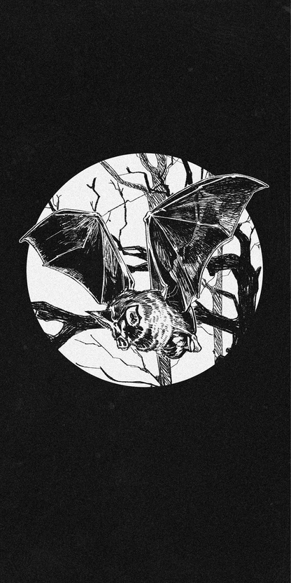 Daisy Mitchell @dibbuns Exclusive Bat Design Contemporary Artwork Phone Case CLEAR Silicone Phone Cover Case for iPhone 16 15 14 13 12 11