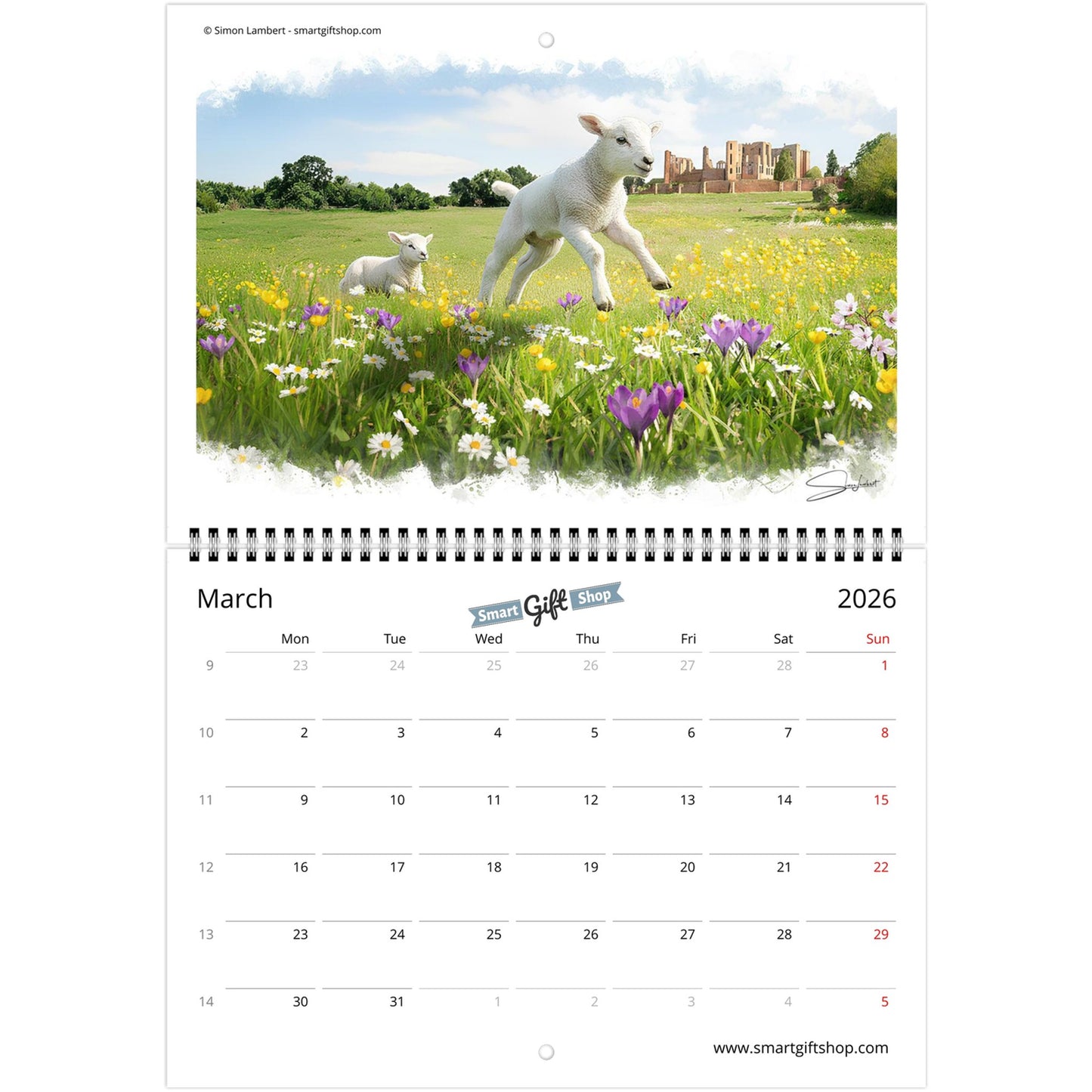 ee8e523e-1355-4c1a-b72a-abfe49bc8f73