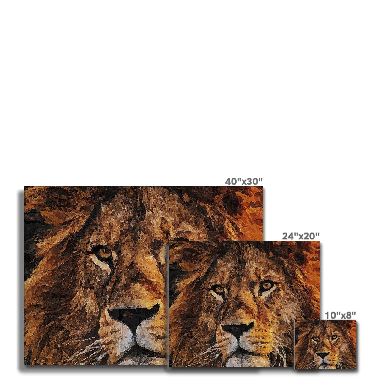 Lion Oil Palette Print Canvas