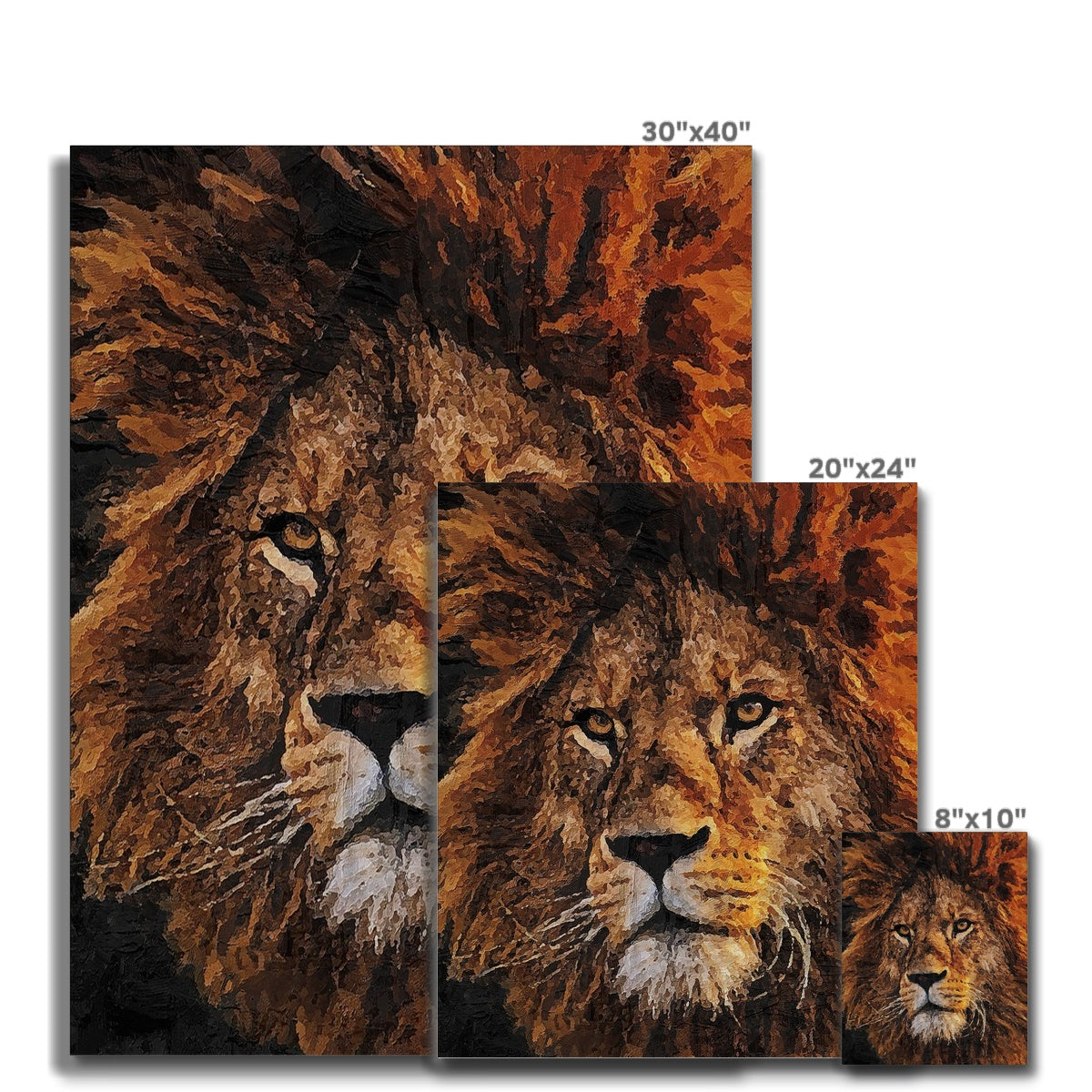 Lion Oil Palette Print Canvas