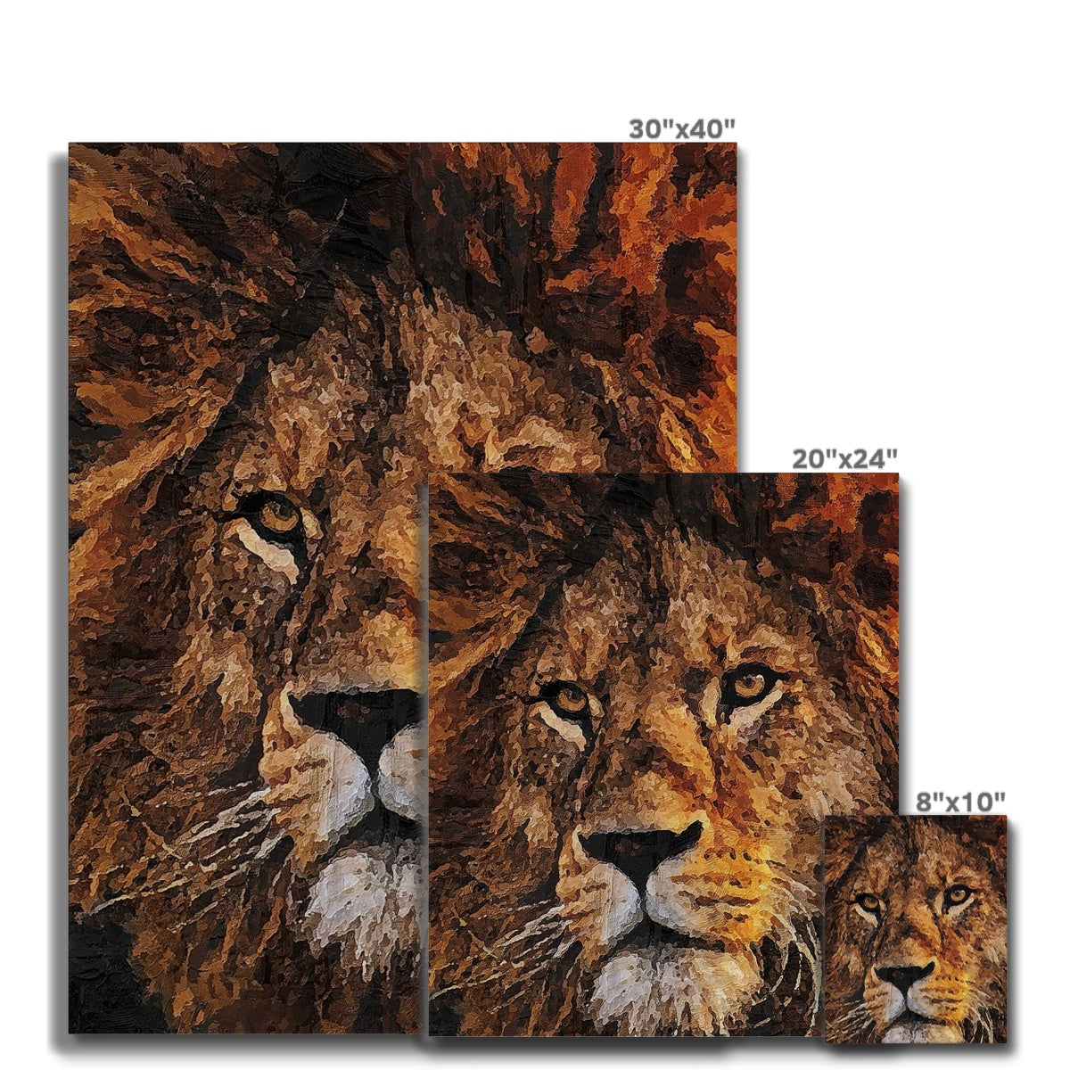 Lion Oil Palette Print Canvas