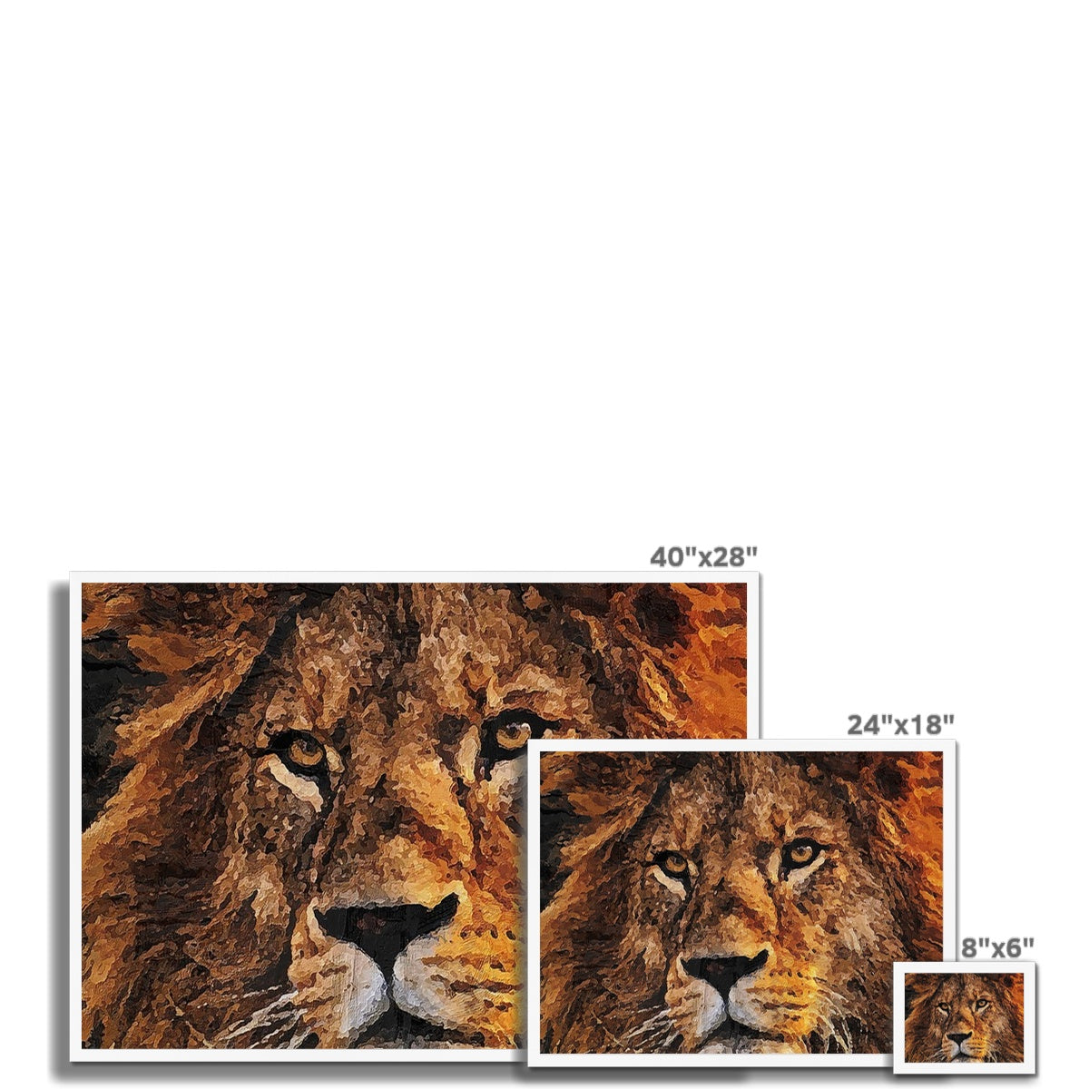Lion Oil Palette Print Framed Print
