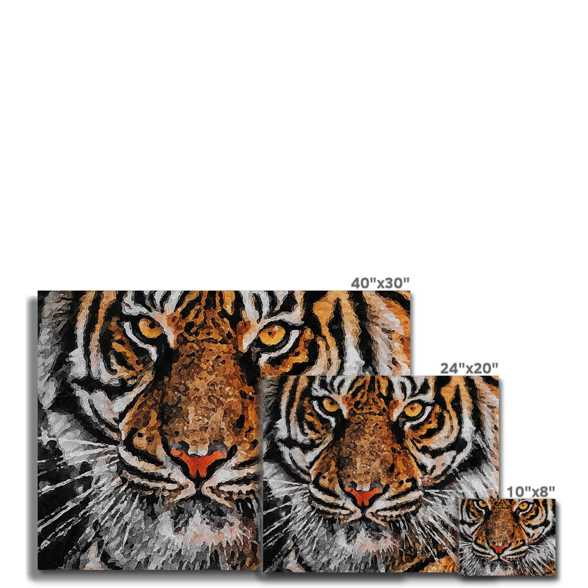 Tiger Oil Palette Print Canvas