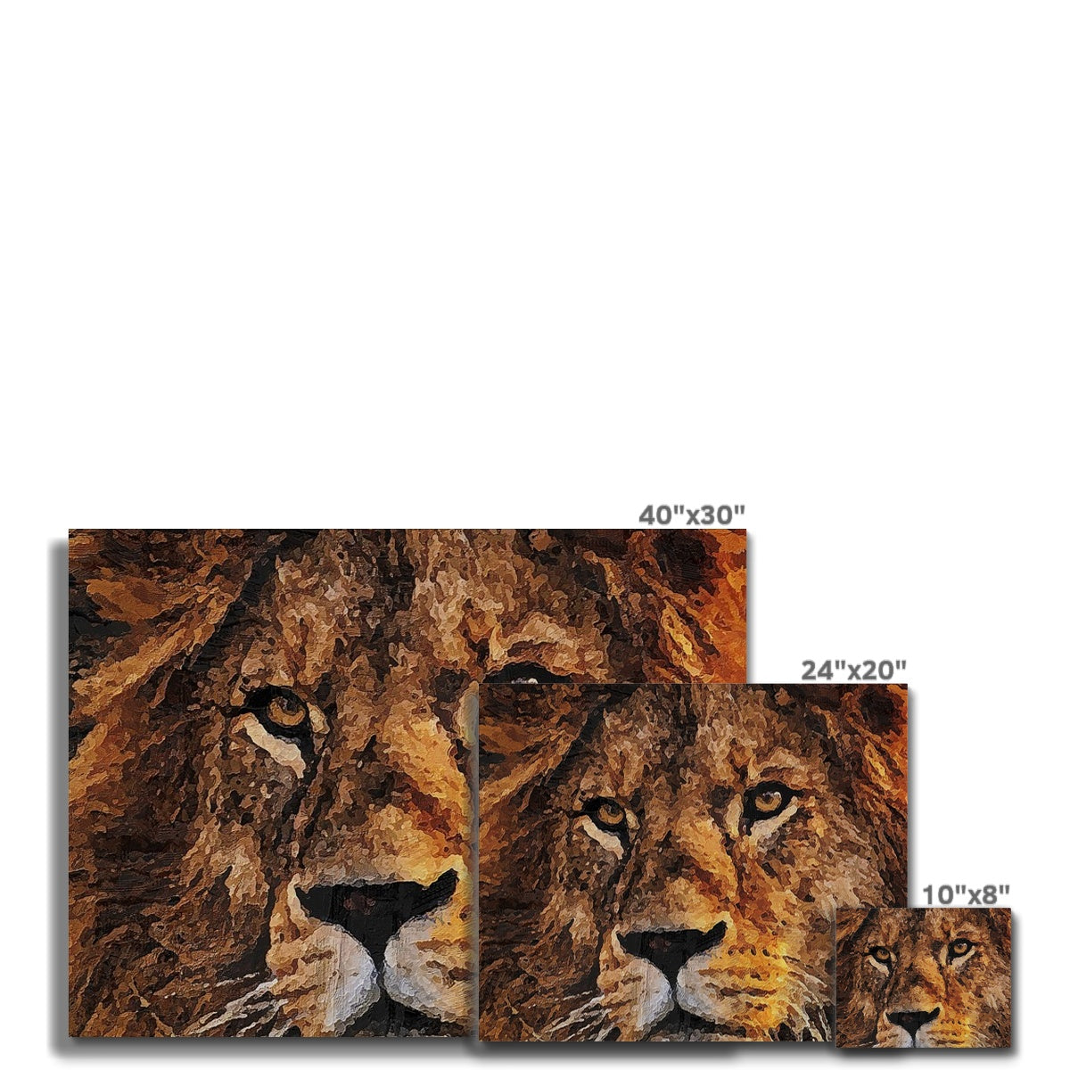 Lion Oil Palette Print Canvas