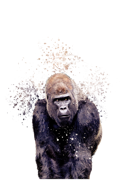 Asian Animals Phone Case Splatter Art CLEAR Cover Case for iPhone 14 13 12 Pro +