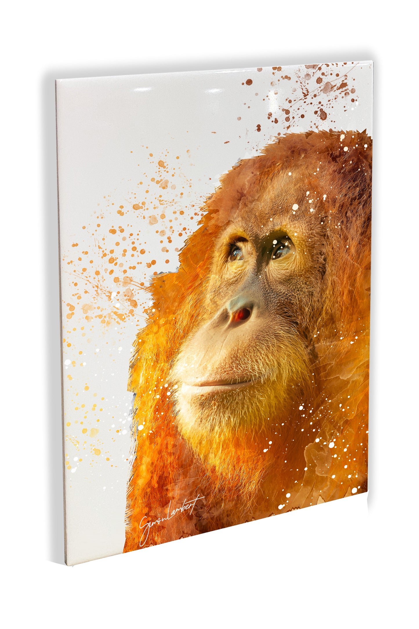 Orangutan Portrait Brush Splatter Style Artwork - Framed CERAMIC TILE Art