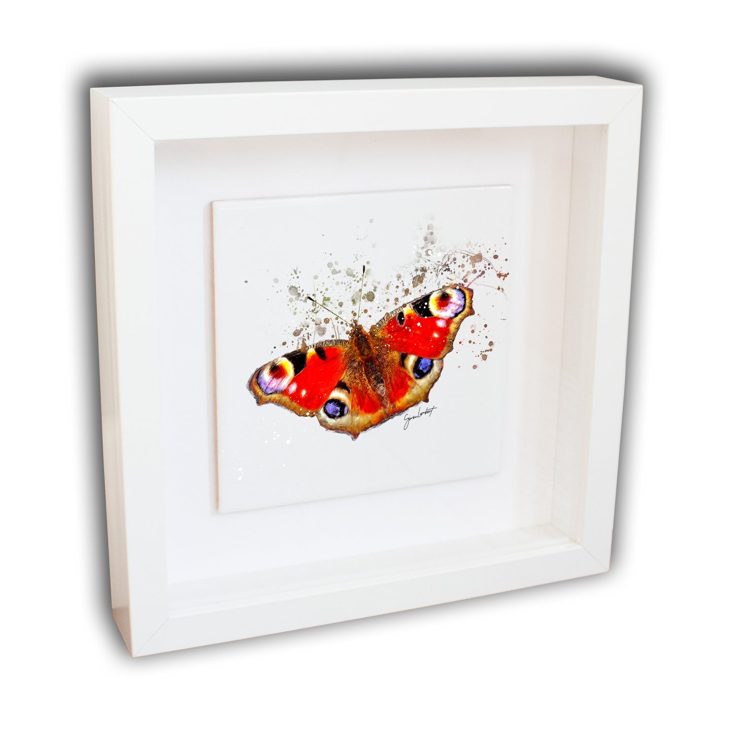 Peacock Butterfly Portrait Brush Splatter Style Artwork - Framed CERAMIC TILE Art