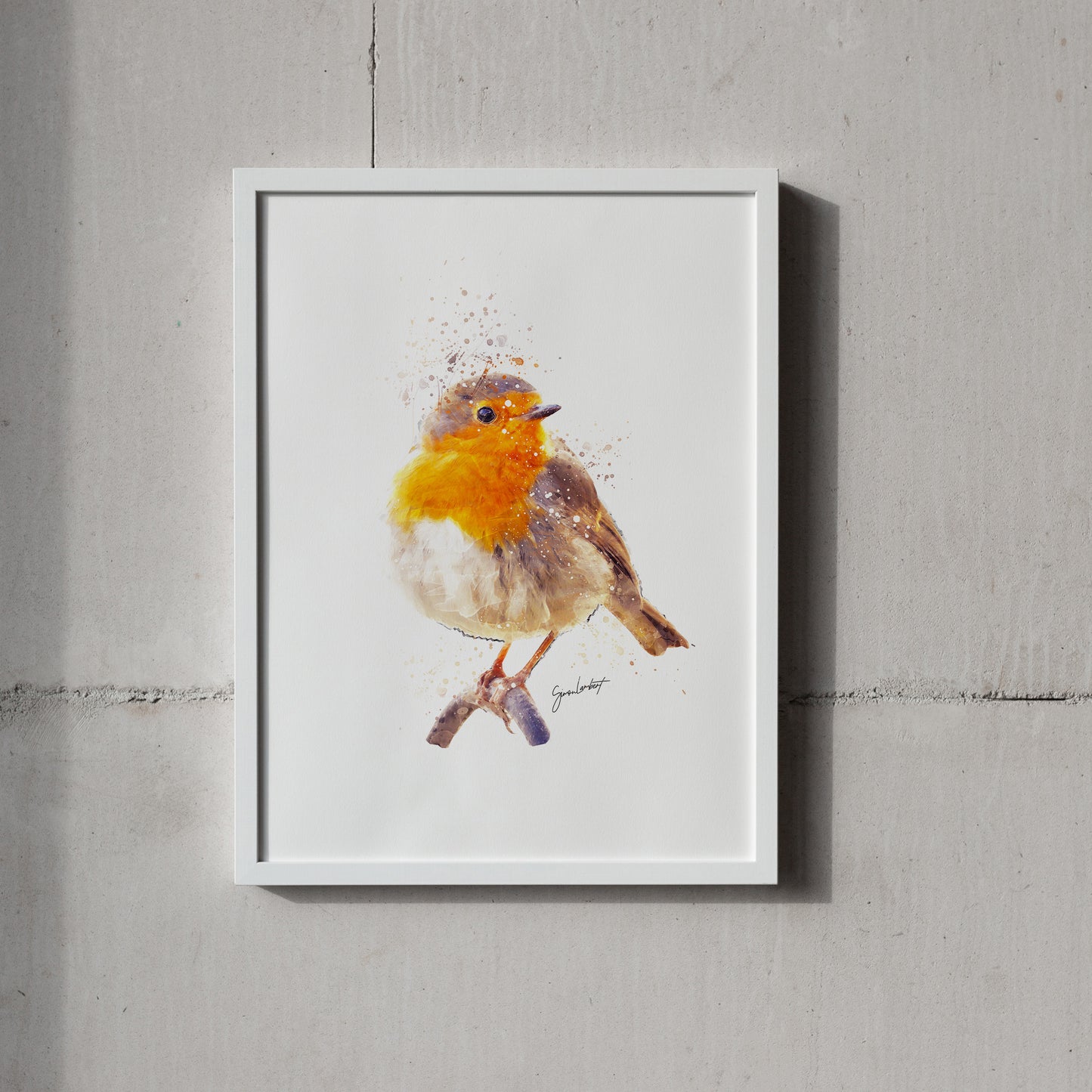 Robin Portrait Splatter Style Artwork Fine Art Print (Unframed)